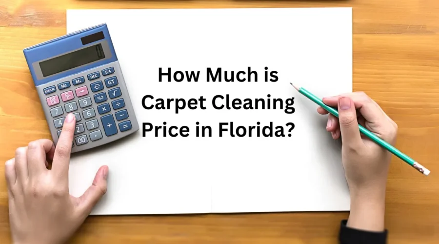 How Much is Carpet Cleaning Price in Florida