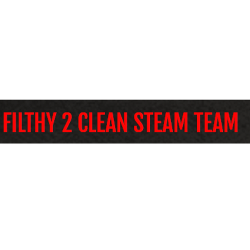 Filthy 2 Clean Steam Team Carpet/Upholstery/ Tile Floor Cleaning